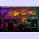 DSCF6071.jpg