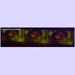 DSCF9359.jpg