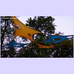 DSCF9551.jpg