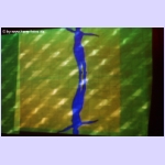 DSCF2818.jpg