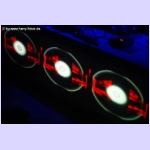 DSCF3365.jpg