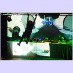 DSCF6534.jpg
