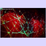 DSCF8975.jpg