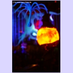 DSCF9791.jpg