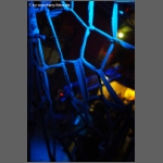 DSCF8833.jpg