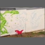 DSCF9007.jpg