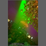 DSCF9918.jpg