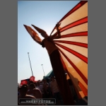 DSCF8138.jpg