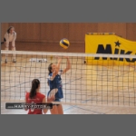 DSC_1781-e.jpg
